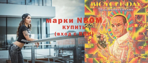стафф Алзамай